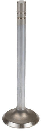 INTAKE VALVE